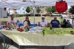 k-IMG_0526